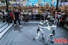 <b>以微不雅视角解构宏</b> 